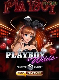 PLAYBOY Wilds game cover